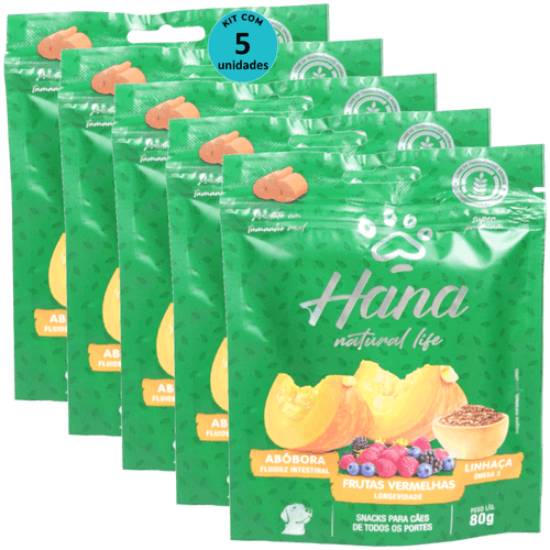 Hana Natural Life Abóbora Frutas Vermelhas Linhaça 80g Para Cães Adultos Kit C/ 5 Un